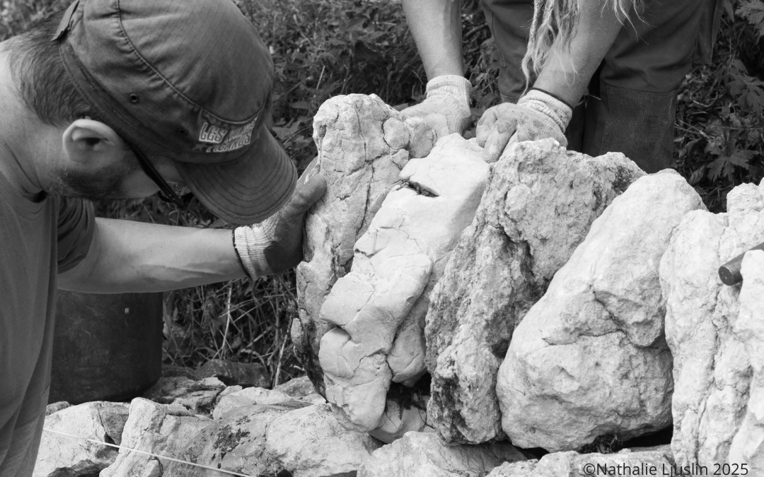 Lust, die Pfade des Wissens zu erkunden? Anmeldungen sind jetzt möglich!