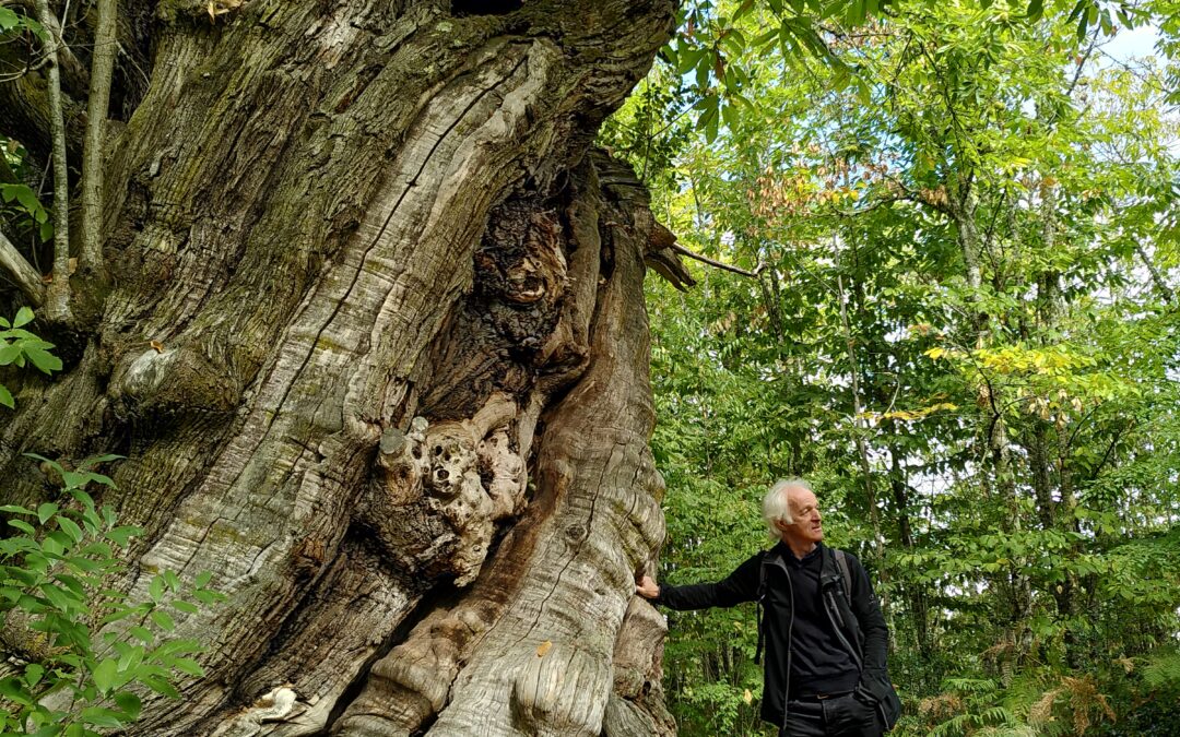 Nächstes Treffen mit Ernst Zürcher und dem Team von Die Pfade des Wissens