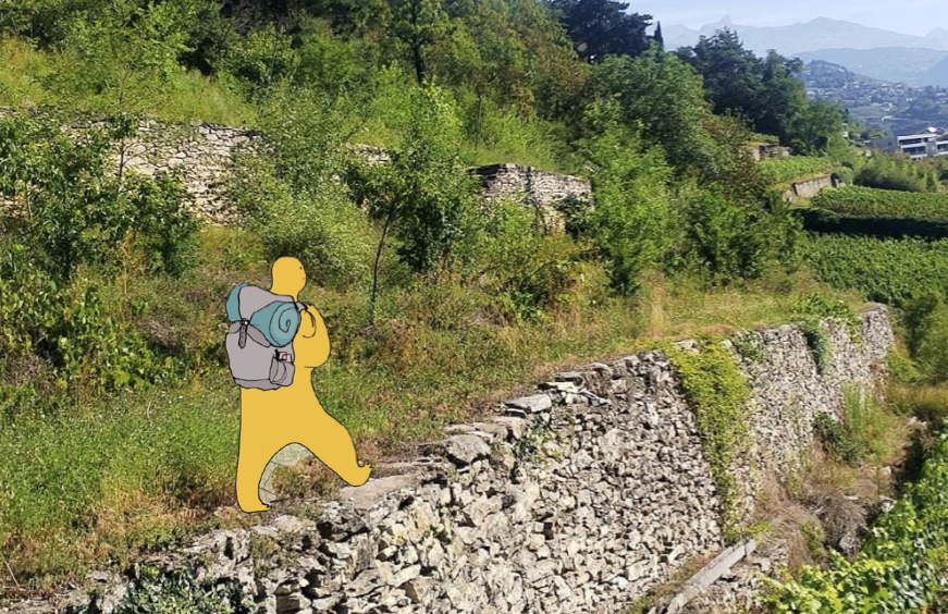 Wallis: Die Pfade des Wissens und das Lebendige in der Stadt